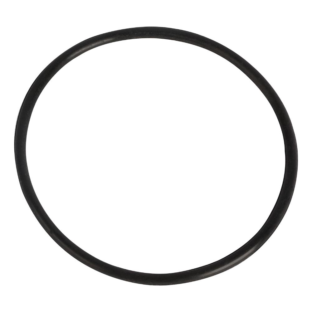 Filter O-Ring Seal