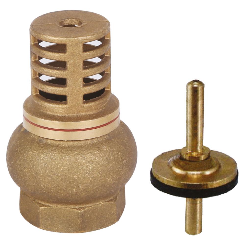 heavy foot valve with strainer